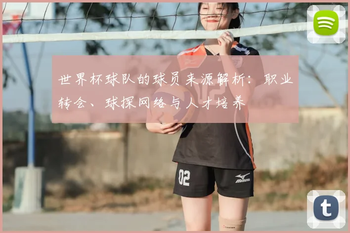 世界杯球队的球员来源解析：职业转会、球探网络与人才培养