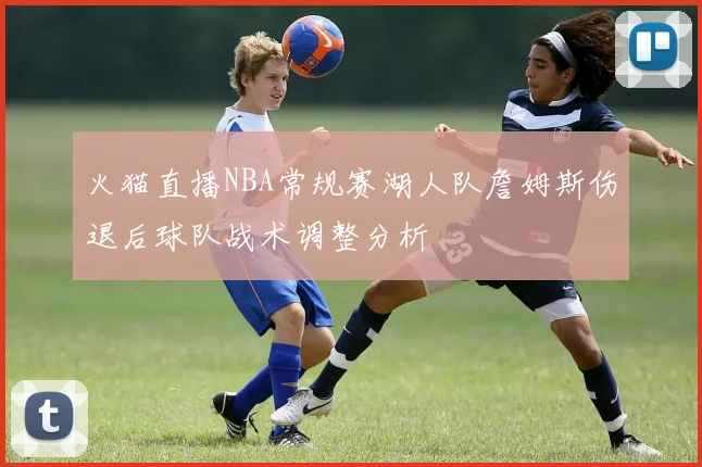 火猫直播NBA常规赛湖人队詹姆斯伤退后球队战术调整分析