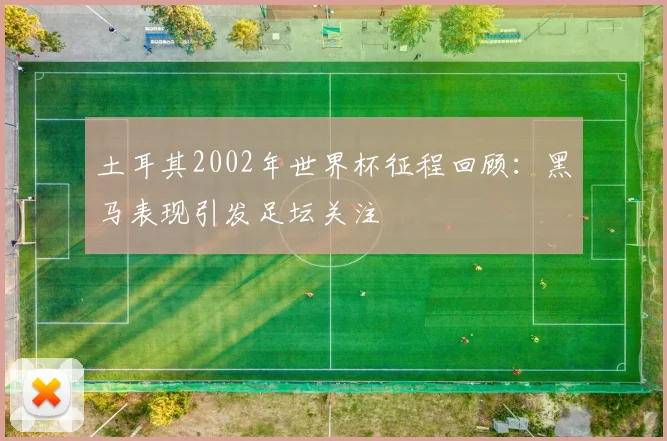 土耳其2002年世界杯征程回顾：黑马表现引发足坛关注