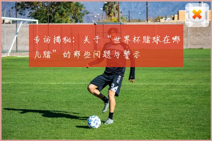 专访揭秘：关于“世界杯赌球在哪儿赌”的那些问题与警示
