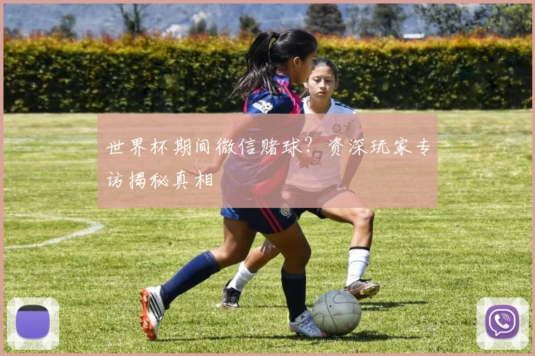 世界杯期间微信赌球?资深玩家专访揭秘真相