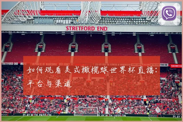 如何观看美式橄榄球世界杯直播:平台与渠道
