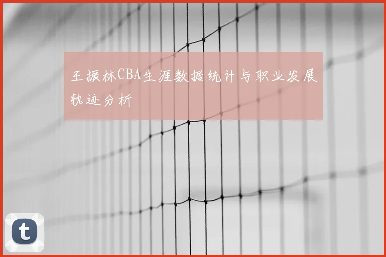 王振林CBA生涯数据统计与职业发展轨迹分析