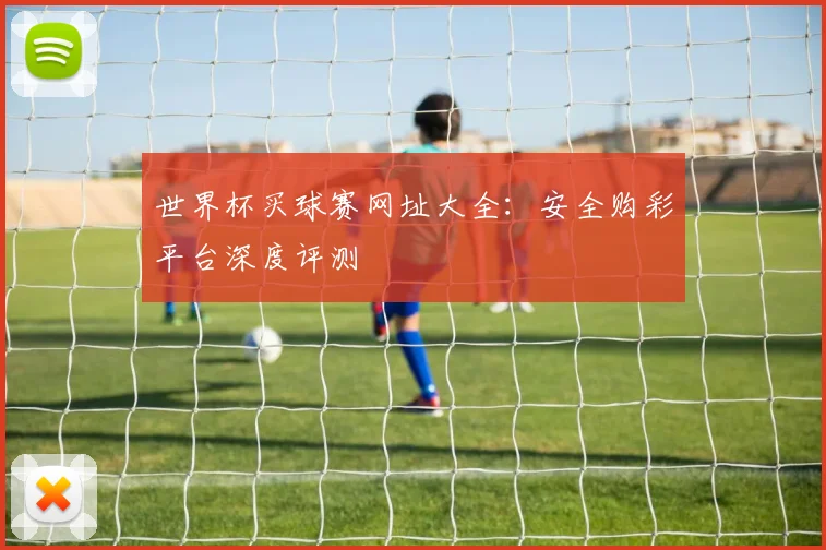 世界杯买球赛网址大全：安全购彩平台深度评测