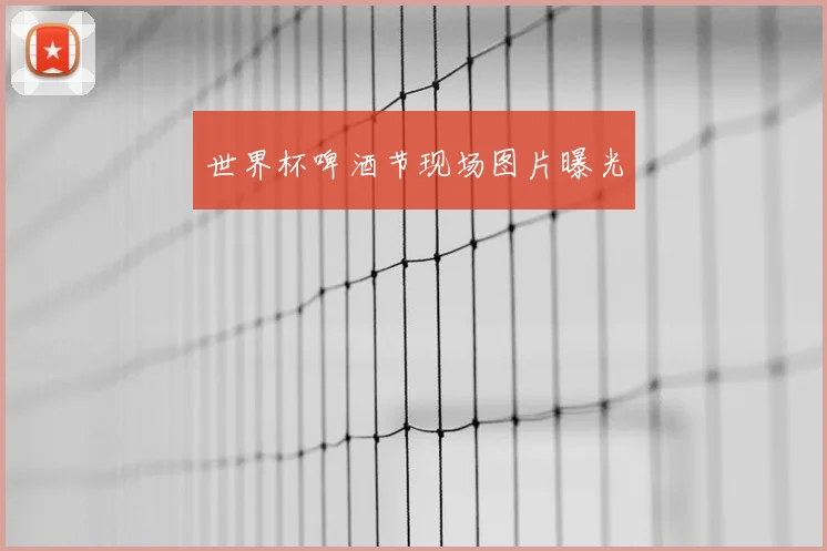 世界杯啤酒节现场图片曝光