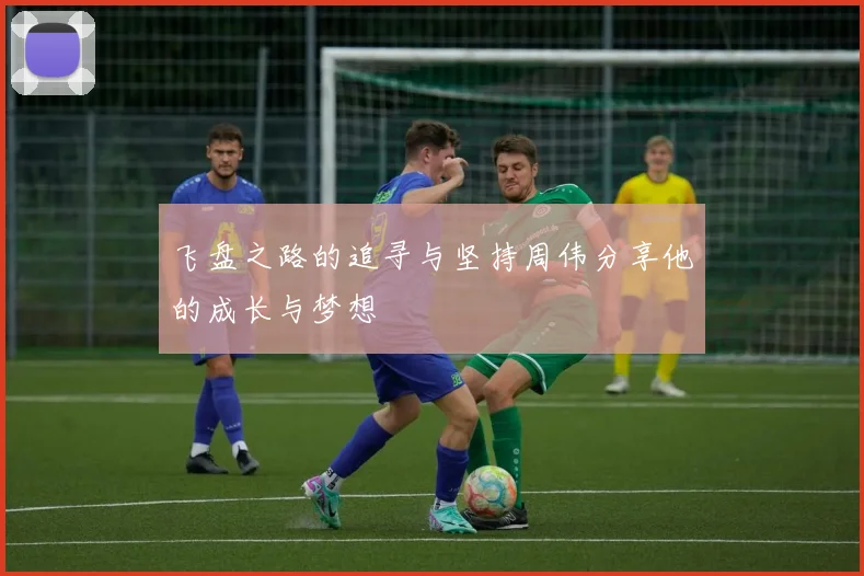 飞盘之路的追寻与坚持周伟分享他的成长与梦想