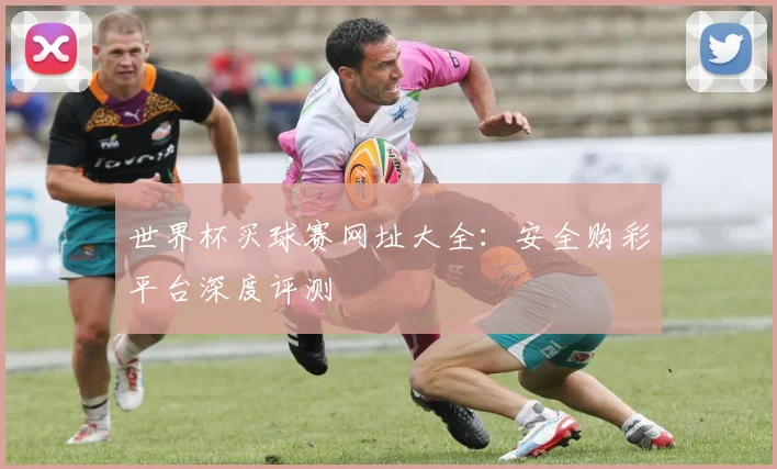 世界杯买球赛网址大全：安全购彩平台深度评测