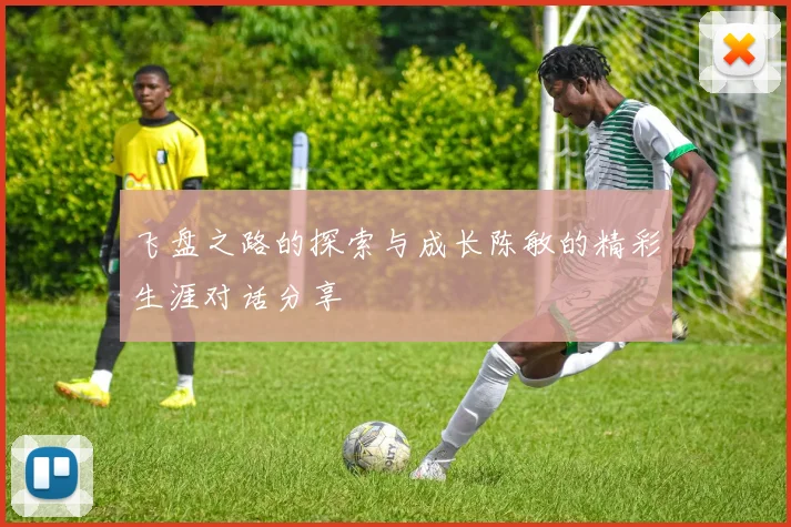 飞盘之路的探索与成长陈敏的精彩生涯对话分享