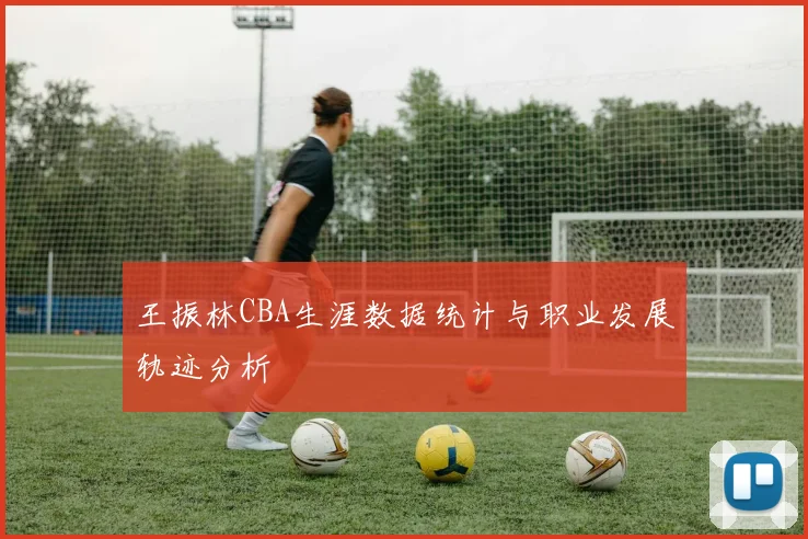 王振林CBA生涯数据统计与职业发展轨迹分析