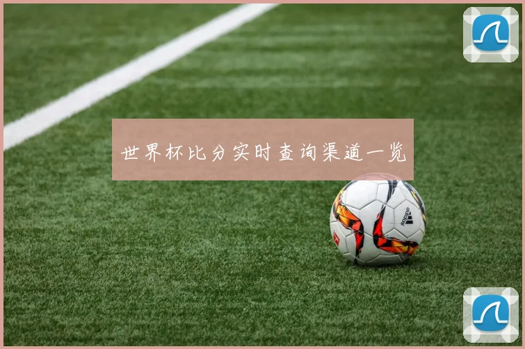 世界杯比分实时查询渠道一览