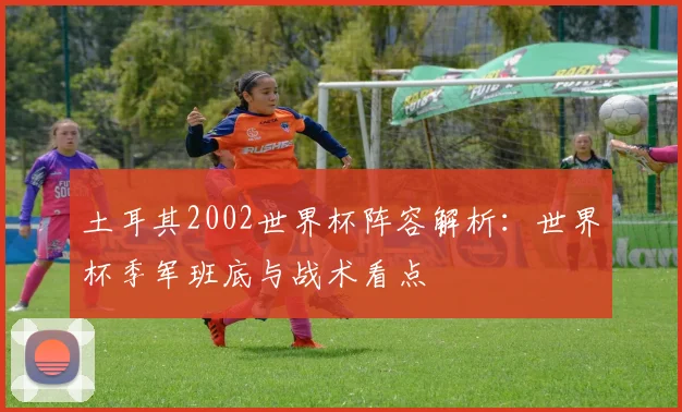 土耳其2002世界杯阵容解析：世界杯季军班底与战术看点