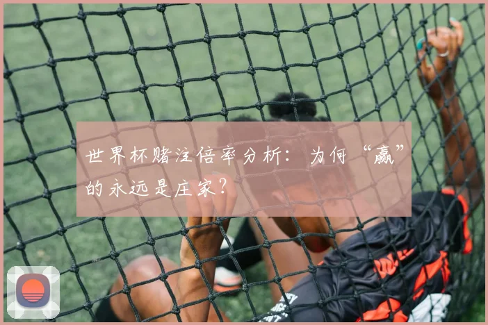世界杯赌注倍率分析:为何“赢”的永远是庄家?