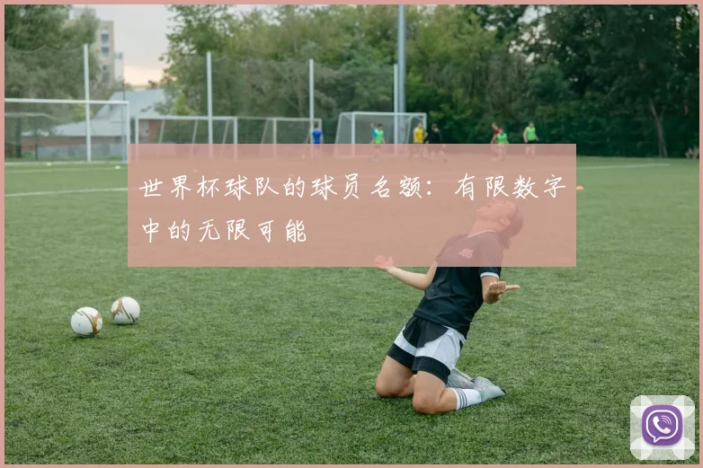 世界杯球队的球员名额：有限数字中的无限可能