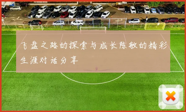 飞盘之路的探索与成长陈敏的精彩生涯对话分享