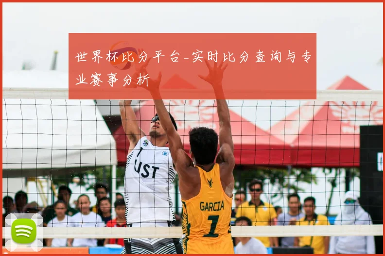 世界杯比分平台_实时比分查询与专业赛事分析