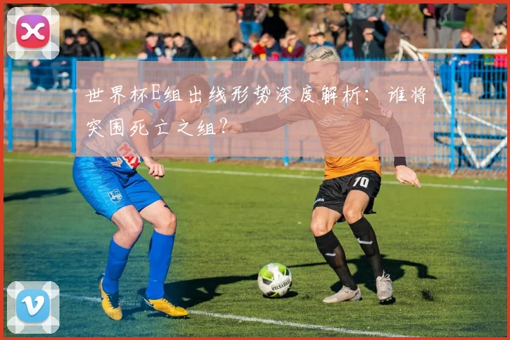 世界杯E组出线形势深度解析：谁将突围死亡之组？